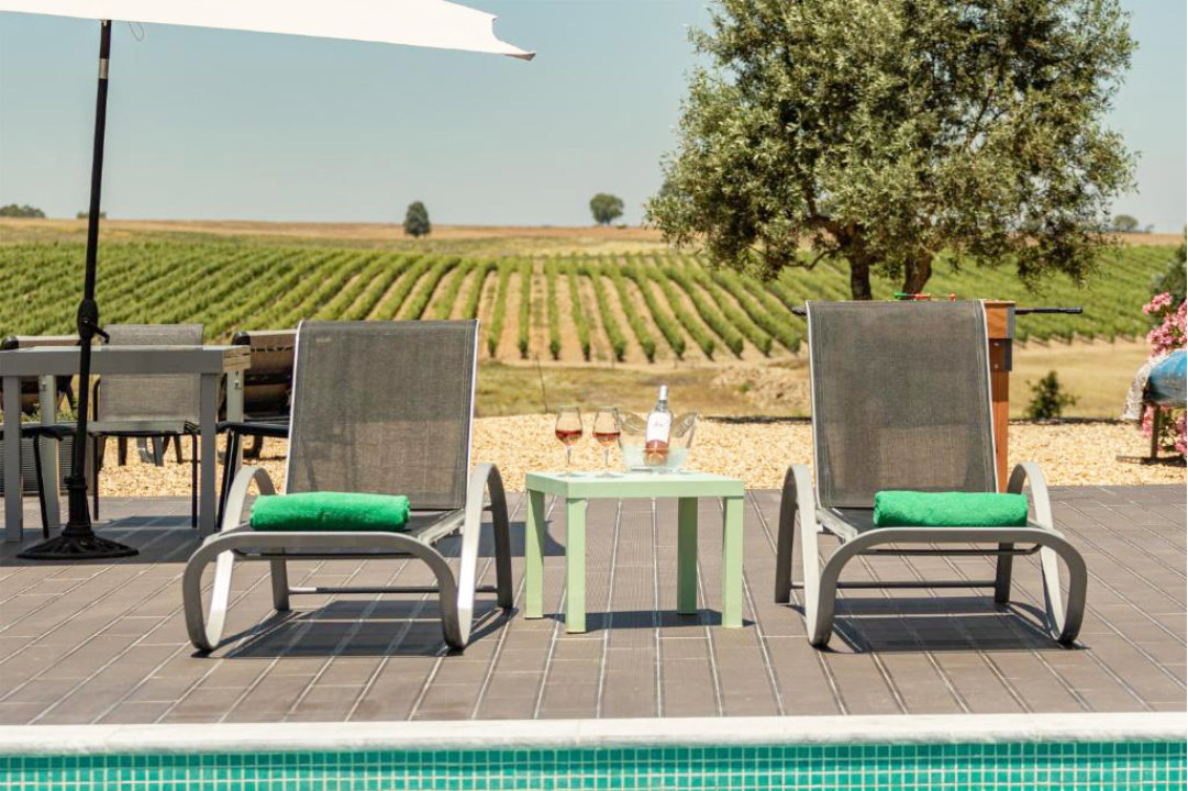 Beautiful property with vineyards and accommodation for wine tourism.