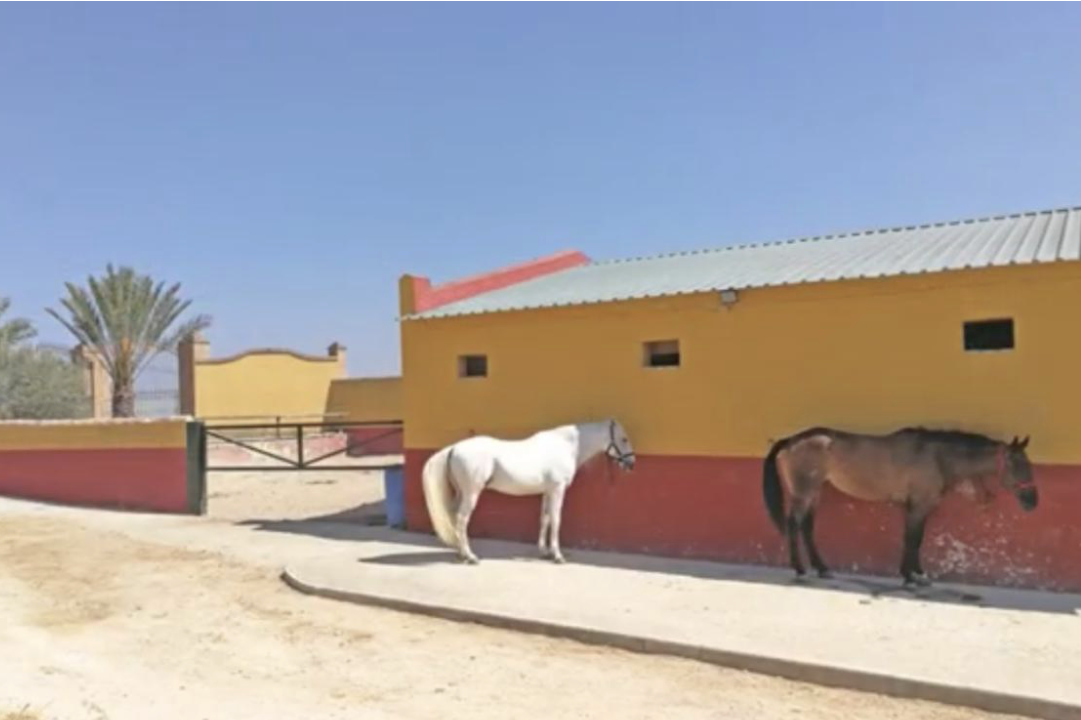 Equestrian-property-near-Jerez-de-la-Frontera.