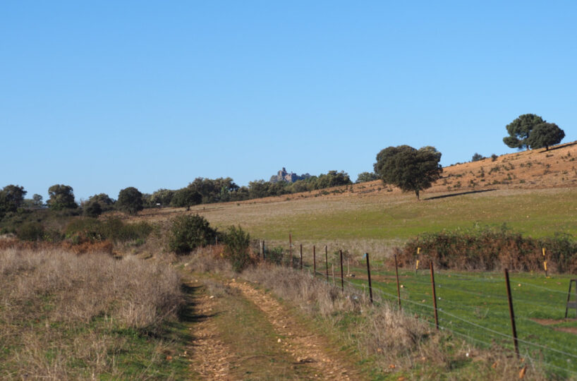 Country estate near Plasencia