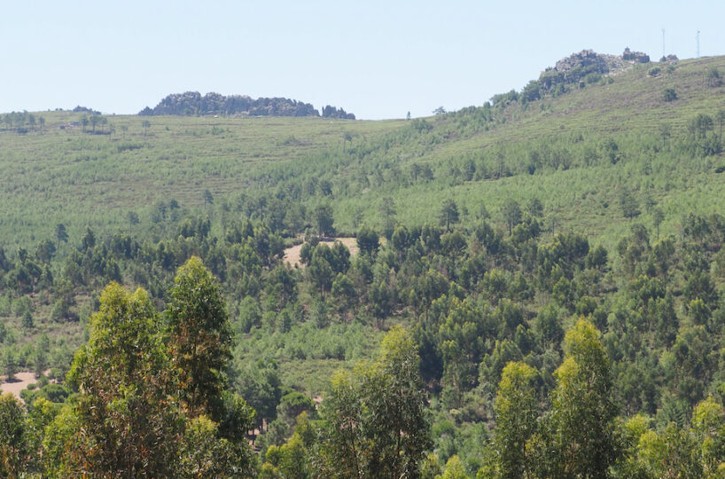 Finca rústica de recreo y caza mayor.