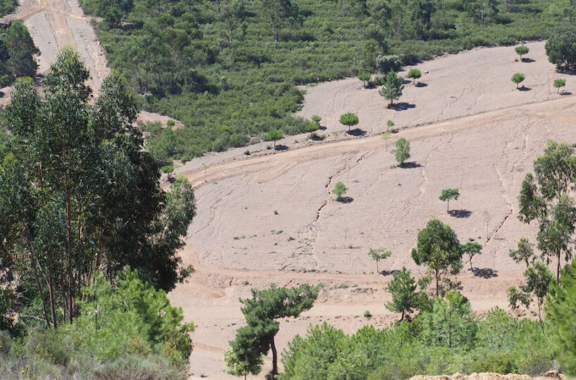 Finca rústica de recreo y caza mayor.