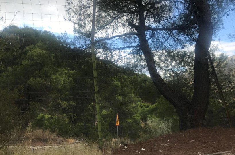 FINCA GANADERA CON ALOJAMIENTO TURISTICO