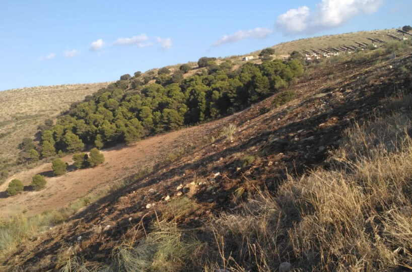 FINCA GANADERA CON ALOJAMIENTO TURISTICO