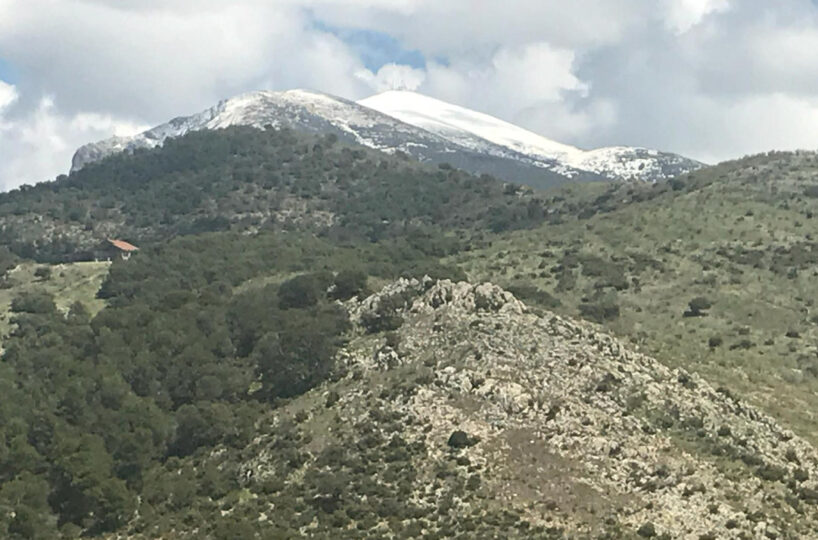 FINCA GANADERA CON ALOJAMIENTO TURISTICO