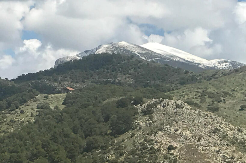 FINCA GANADERA CON ALOJAMIENTO TURISTICO