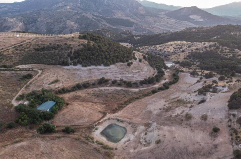 FINCA GANADERA CON ALOJAMIENTO TURISTICO