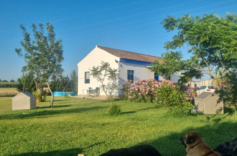 Finca ecuestre cerca de Cádiz en venta.