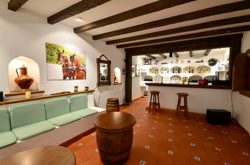 Luxury Equestrian Estate with Magnificent Cortijo.