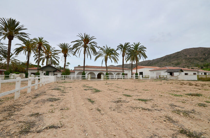 Luxury Equestrian Estate with Magnificent Cortijo.