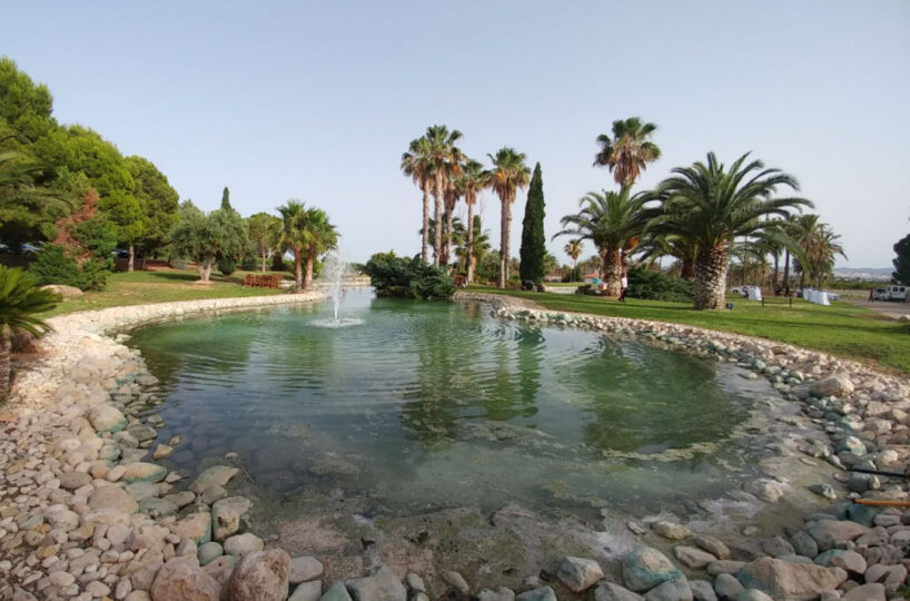 Luxury Equestrian Estate with Magnificent Cortijo.