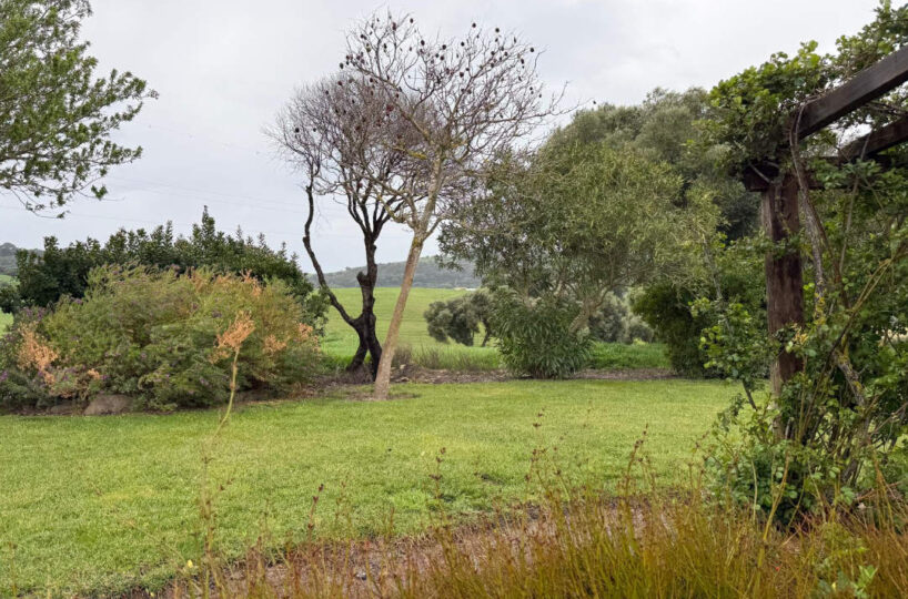 EQUESTRIAN PROPERTY NEAR VERJER DE LA FRONTERA