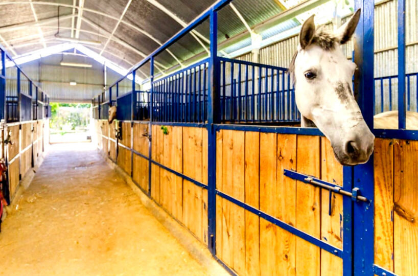 Equestrian Estate with Andalusian Cortijo near the Beaches of Málaga