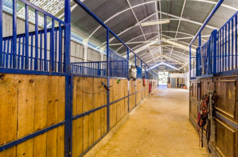 Equestrian Estate with Andalusian Cortijo near the Beaches of Málaga