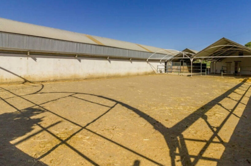 Equestrian Estate with Andalusian Cortijo near the Beaches of Málaga