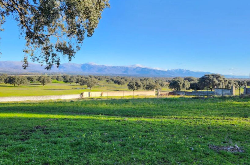 700 HA LIVESTOCK FARM IN NORTHEASTERN CÁCERES.