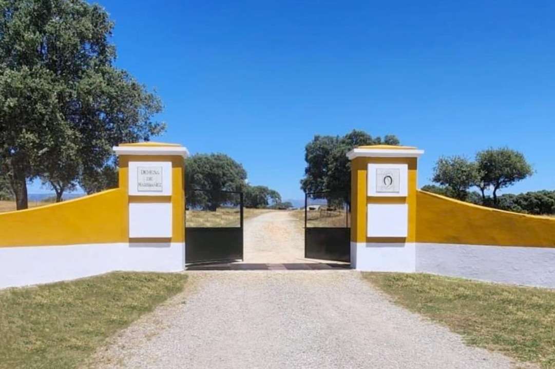 700 HA LIVESTOCK FARM IN NORTHEASTERN CÁCERES.