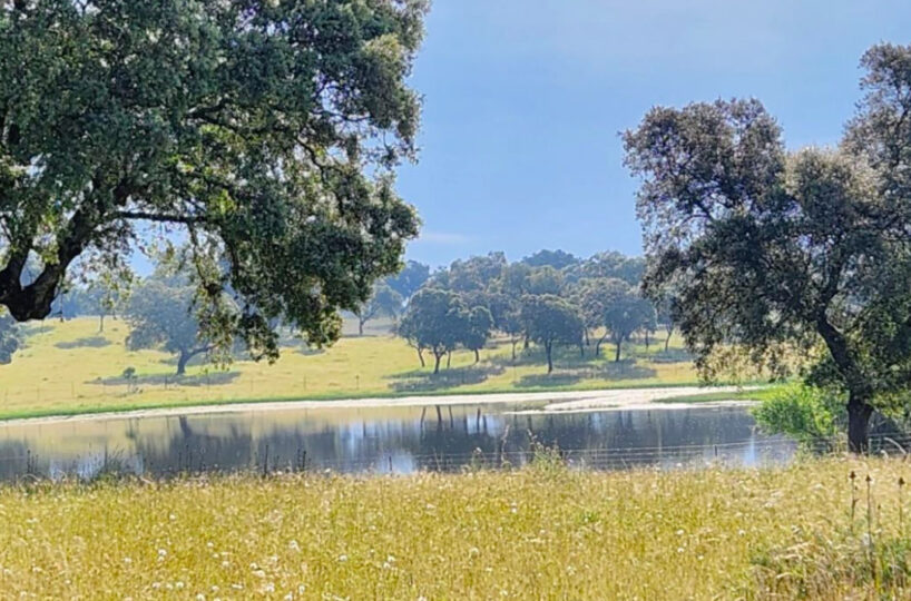 700 HA LIVESTOCK FARM IN NORTHEASTERN CÁCERES.