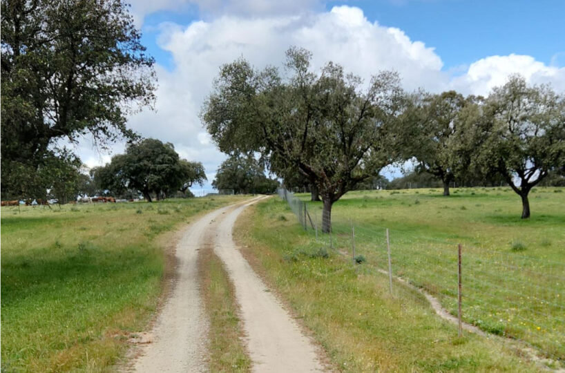 700 HA LIVESTOCK FARM IN NORTHEASTERN CÁCERES.