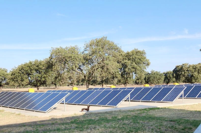 700 HA LIVESTOCK FARM IN NORTHEASTERN CÁCERES.