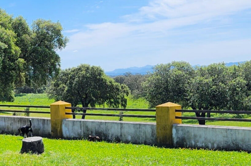 700 HA LIVESTOCK FARM IN NORTHEASTERN CÁCERES.