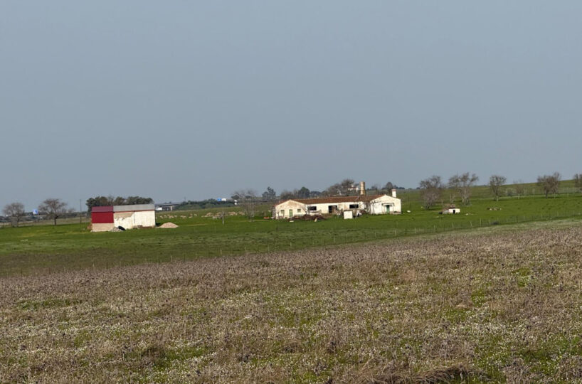 LIVESTOCK AND ARABLE FARM NEAR CÁCERES.