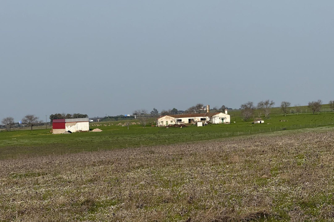 LIVESTOCK AND ARABLE FARM NEAR CÁCERES.