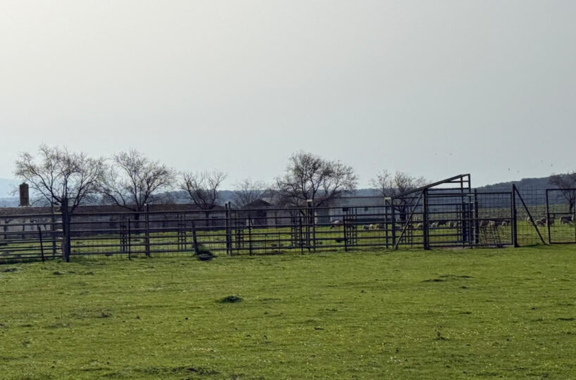LIVESTOCK AND ARABLE FARM NEAR CÁCERES.