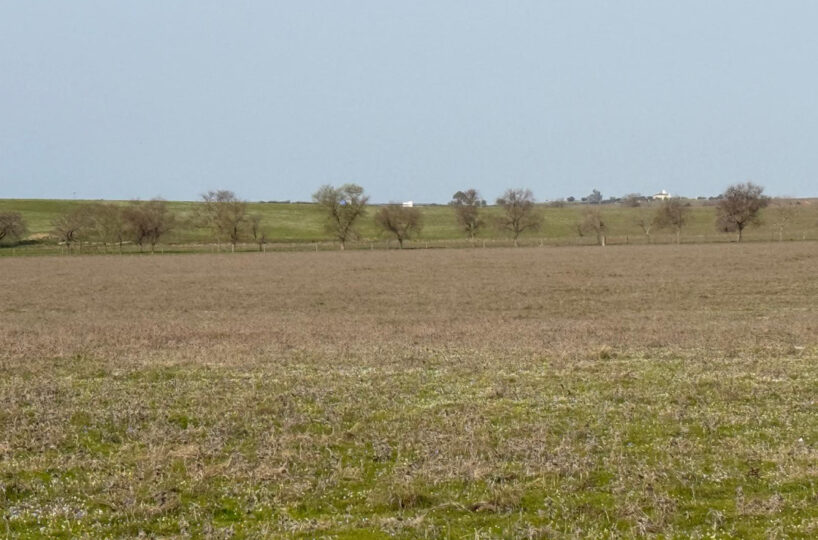 LIVESTOCK AND ARABLE FARM NEAR CÁCERES.