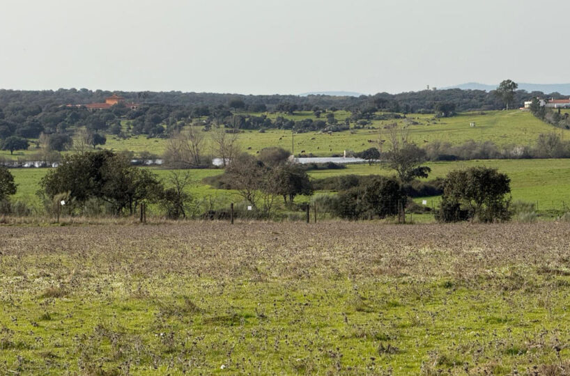 LIVESTOCK AND ARABLE FARM NEAR CÁCERES.