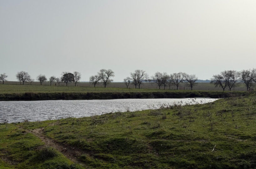 LIVESTOCK AND ARABLE FARM NEAR CÁCERES.