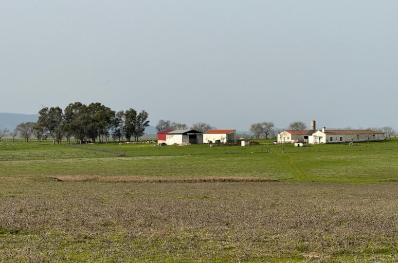 LIVESTOCK AND ARABLE FARM NEAR CÁCERES.