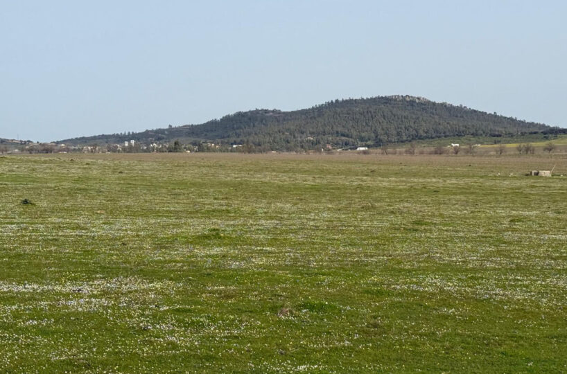 LIVESTOCK AND ARABLE FARM NEAR CÁCERES.