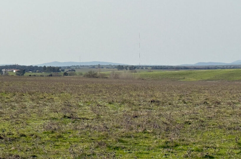 LIVESTOCK AND ARABLE FARM NEAR CÁCERES.